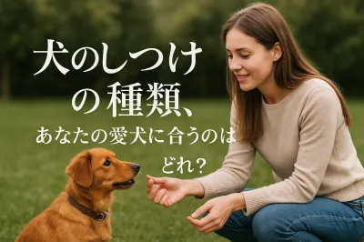 犬のしつけの種類、あなたの愛犬に合うのはどれ？