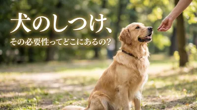 犬のしつけ、その必要性ってどこにあるの？周囲も幸せになるために不可欠なんです
