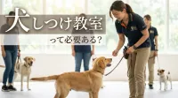 犬のしつけ教室って必要ある？失敗しない選び方までまるっと整理