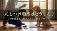 犬のしつけ 順番はどうする？プロが教えるステップバイステップガイド