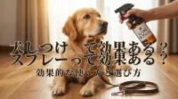 犬のしつけスプレーは「目的に合う1本」を選べば効果的です