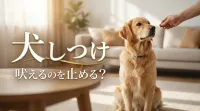犬の吠えを減らすコツは「理由を当てて、反応の順番を変える」こと