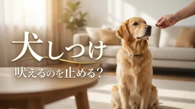 犬の吠えを減らすコツは「理由を当てて、反応の順番を変える」こと
