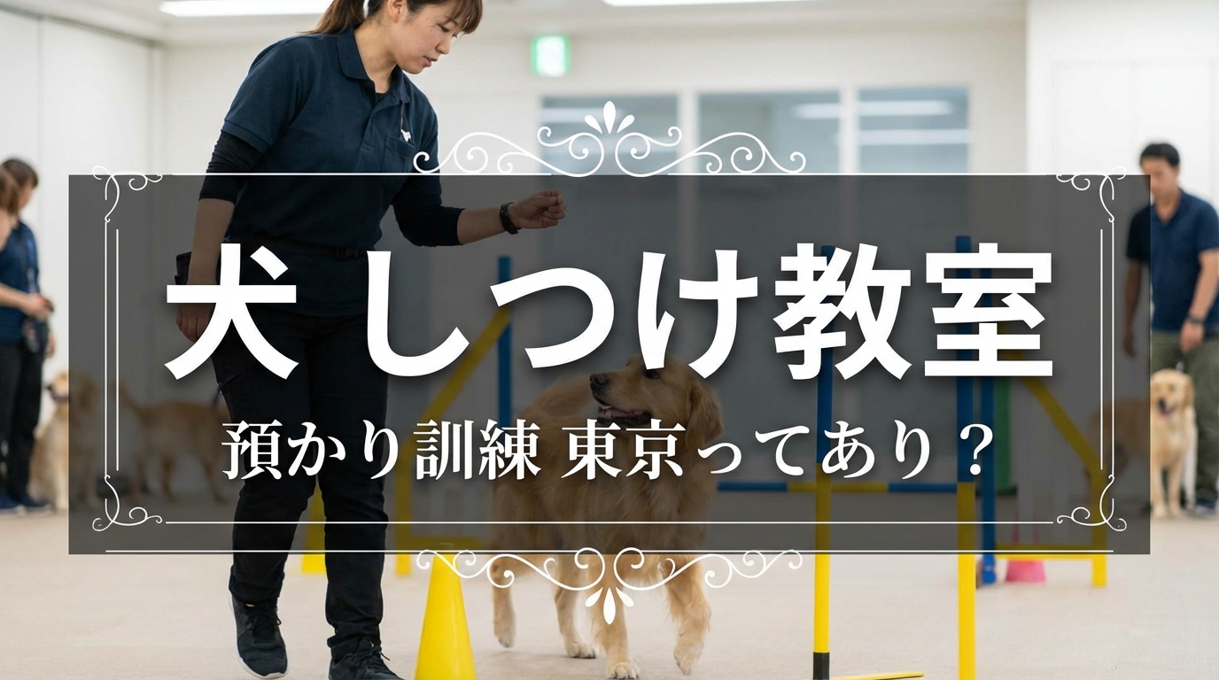 犬 しつけ教室 預かり訓練 東京ってあり？