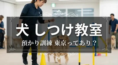 東京の犬のしつけ教室預かり訓練は飼い主さんへの引き継ぎセットがおすすめです