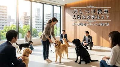 大阪の犬のしつけ教室は「目的×通い方」で選ぶのが正解です