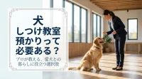 犬のしつけ教室の預かりって必要ある？愛犬との暮らしに役立つ選択肢