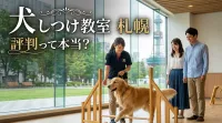 札幌の犬のしつけ教室は「高評価＋飼い主さん重視」が選ばれている事実