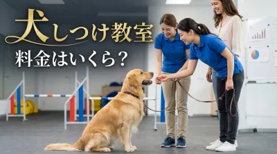犬のしつけ教室 料金はいくら？相場は「1回2,000〜12,000円」