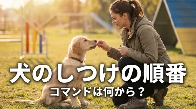 犬のしつけの順番やコマンドは何から？まずはトイレと名前！