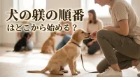 犬の躾の順番はどこから始める？ストレスが少ない黄金のルート