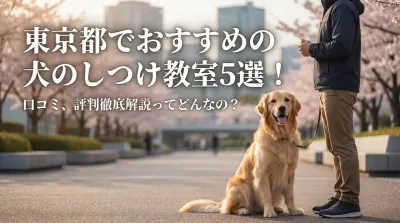 東京都でおすすめの犬のしつけ教室5選！口コミ、評判徹底解説