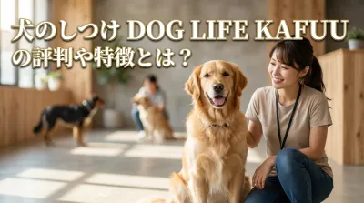 犬のしつけ dog life kafuuの評判や特徴とは？