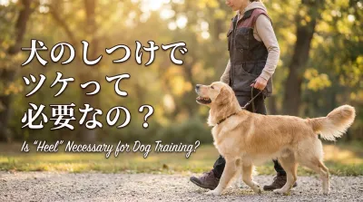 犬のしつけでツケって必要なの？