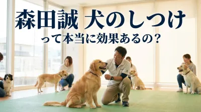 森田誠 犬のしつけって本当に効果あるの？