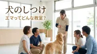 「犬のしつけ エマ」遠藤エマさんのトレーニングってどんな方法？
