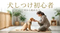 犬 しつけ 初心者って何から始める？「褒めて伸ばす」が基本！
