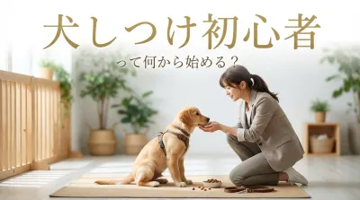 犬 しつけ 初心者って何から始める？「褒めて伸ばす」が基本！