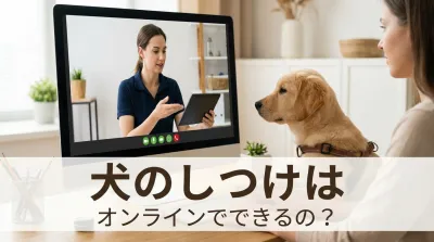 犬のしつけはオンラインでできるの？