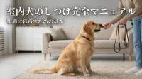 室内犬のしつけ完全マニュアル｜快適に暮らすための基本