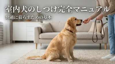 室内犬のしつけ完全マニュアル｜快適に暮らすための基本