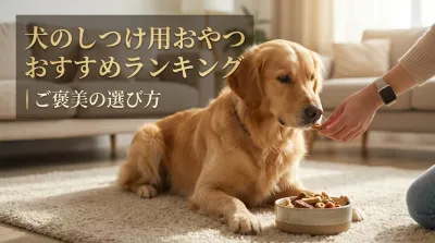 犬のしつけ用おやつおすすめランキング｜ご褒美の選び方