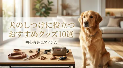 犬のしつけに役立つおすすめグッズ10選｜初心者必見アイテム