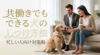 共働きでもできる犬のしつけ方法｜忙しい人向け対策術