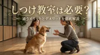 しつけ教室は必要？通うメリットとデメリットを徹底解説
