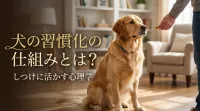 犬の習慣化の仕組みとは？しつけに活かす心理学