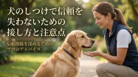 犬のしつけで信頼を失わないための接し方と注意点