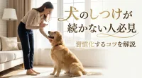 犬のしつけが続かない人必見｜習慣化するコツを解説