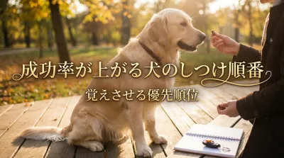 成功率が上がる犬のしつけ順番｜覚えさせる優先順位とは