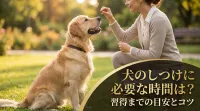 犬のしつけに必要な時間は？習得までの目安とコツ