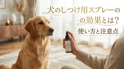 犬のしつけ用スプレーの効果とは？使い方と注意点