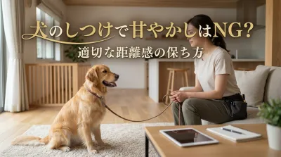 犬のしつけで甘やかしはNG？適切な距離感の保ち方