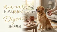 犬のしつけ成功率を上げる便利グッズとは？選び方解説
