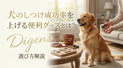犬のしつけ成功率を上げる便利グッズとは？選び方解説