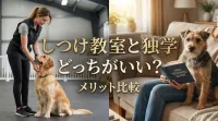 しつけ教室と独学どっちがいい？メリット比較