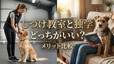 しつけ教室と独学どっちがいい？メリット比較