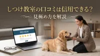 しつけ教室の口コミは信用できる？見極め方を解説