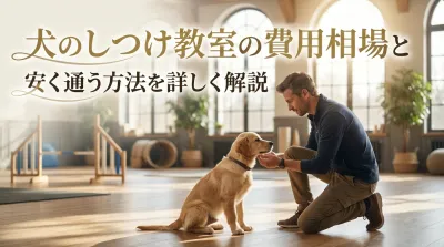 犬のしつけ教室の費用相場と安く通う方法を詳しく解説