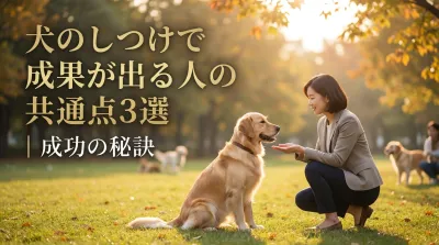 犬のしつけで成果が出る人の共通点3選｜成功の秘訣