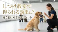 しつけ教室で得られる効果とは？通う前に知るべきポイント