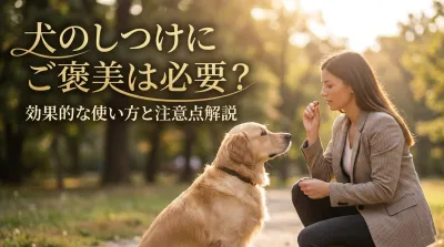 犬のしつけにご褒美は必要？効果的な使い方と注意点解説