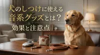犬のしつけに使える音系グッズとは？効果と注意点