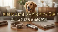 無駄吠え防止グッズおすすめ5選｜効果と選び方を徹底解説