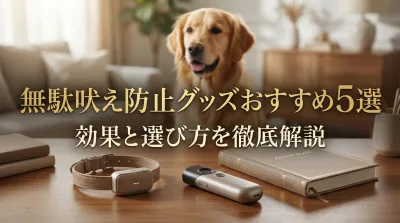 無駄吠え防止グッズおすすめ5選｜効果と選び方を徹底解説