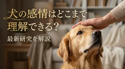 犬の感情はどこまで理解できる？最新研究を解説