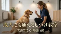 成犬でも通えるしつけ教室｜改善できる問題行動とは